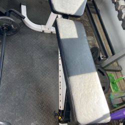 Body Solid Weight Bench For Sale 