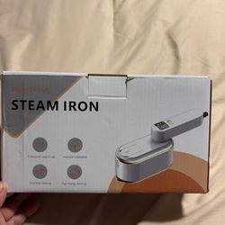 Steam iron