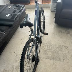 Schwinn Bike