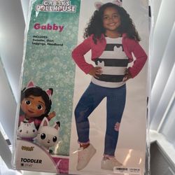 Gabby Dollhouse Costume 