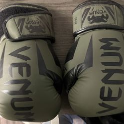 Venum 16oz Boxing Gloves