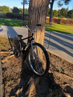 Street co 29er