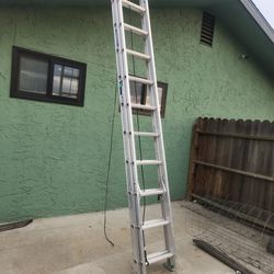 Warner 24 Foot Extension Ladder