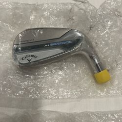 Golf Paradym Ai Smoke 
