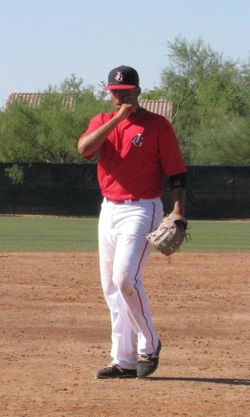 Baseball Lessons (Pitching, Hitting, Fielding)