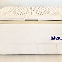 Igloo