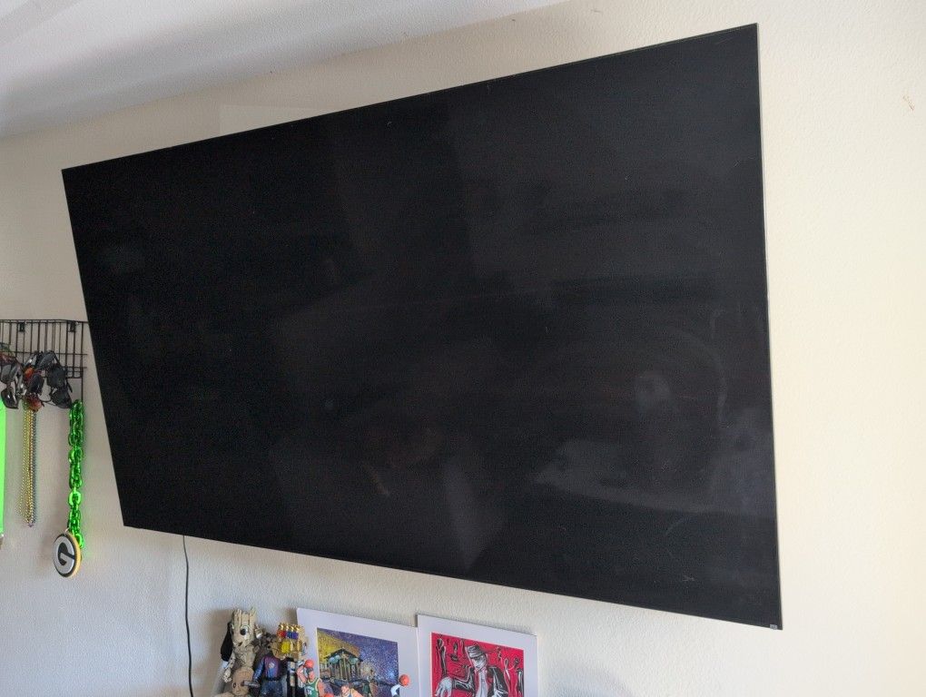 75 in. Vizio TV ( Screen Went Dark)