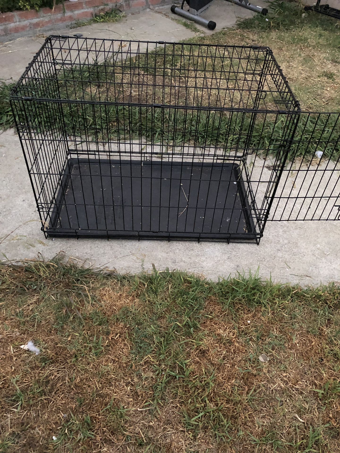 Large dog kennel
