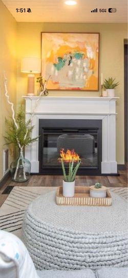 Real flame 55 inch fireplace