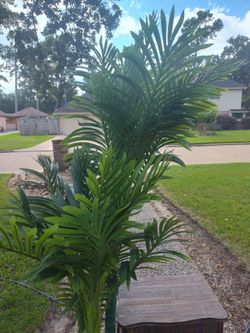 Beautiful brand New artificial Areca Palm Plant