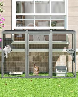 Catio / cat enclosure