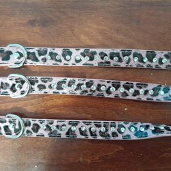 Medium Pet Collars