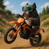 ApexMoto
