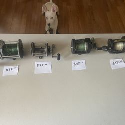 Fishing Reels For Sale 