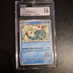 Feraligatr 2024 Illustration Slab