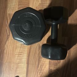  10lb Dumb Bells