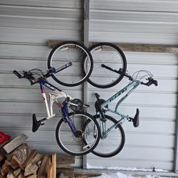 Adult Bikes (needs work)