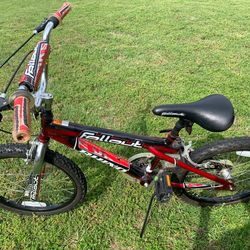 Kid 20” bike