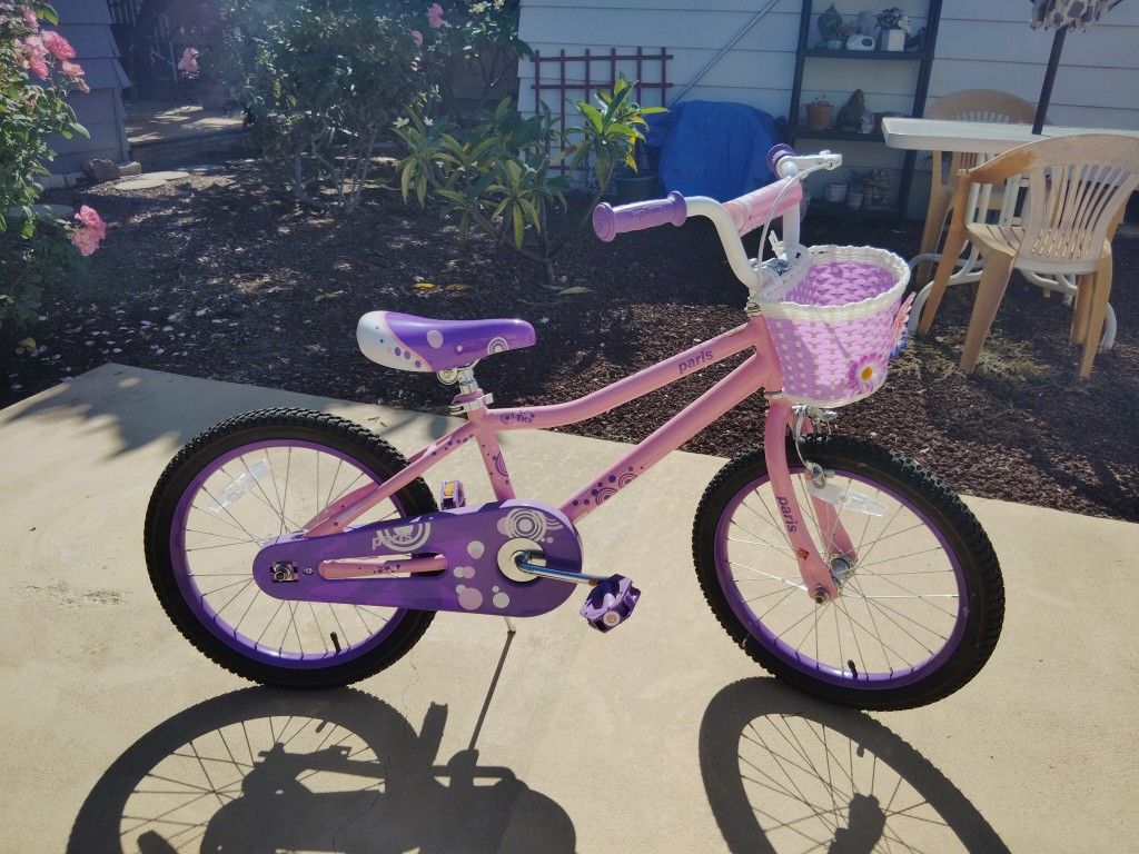 Joystar Paris Girls 18" Bike With Floral Basket and Hand Brake Pink Purple, Nice!