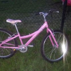 Trek MT 220 Mountain Bike 