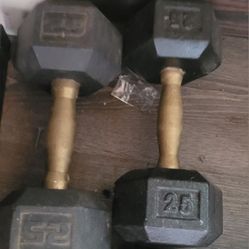 25Lb Dumbells