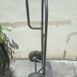 YES, Item Is Available Dolly