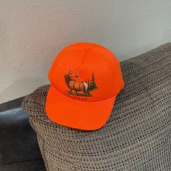 Vintage Snap Back Colorado Cap , New Old Stock.