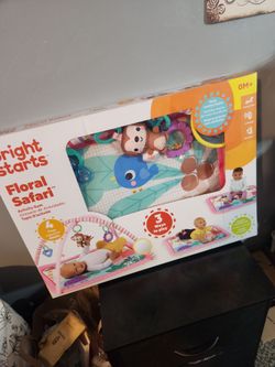 New Baby Girl activity gym