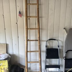 Ladder Bamboo 