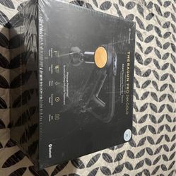 Theragun Massage Gun-24k Gold