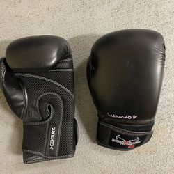 Boxing Gloves 