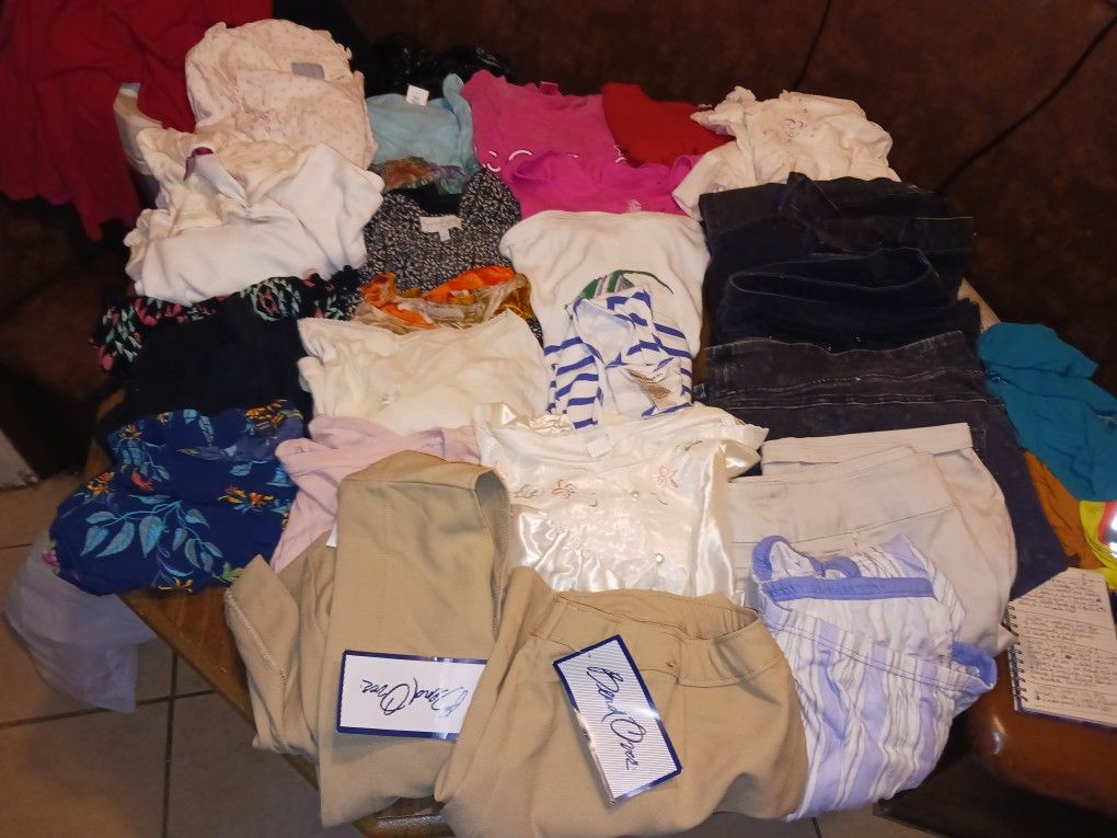 Women's size 2XL & 3XL clothing LOT