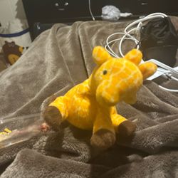 TY beanie Baby Box