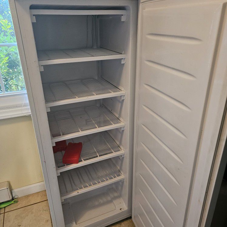 Stand Up Freezer With Shelves 