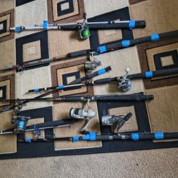 Fishing Rod 