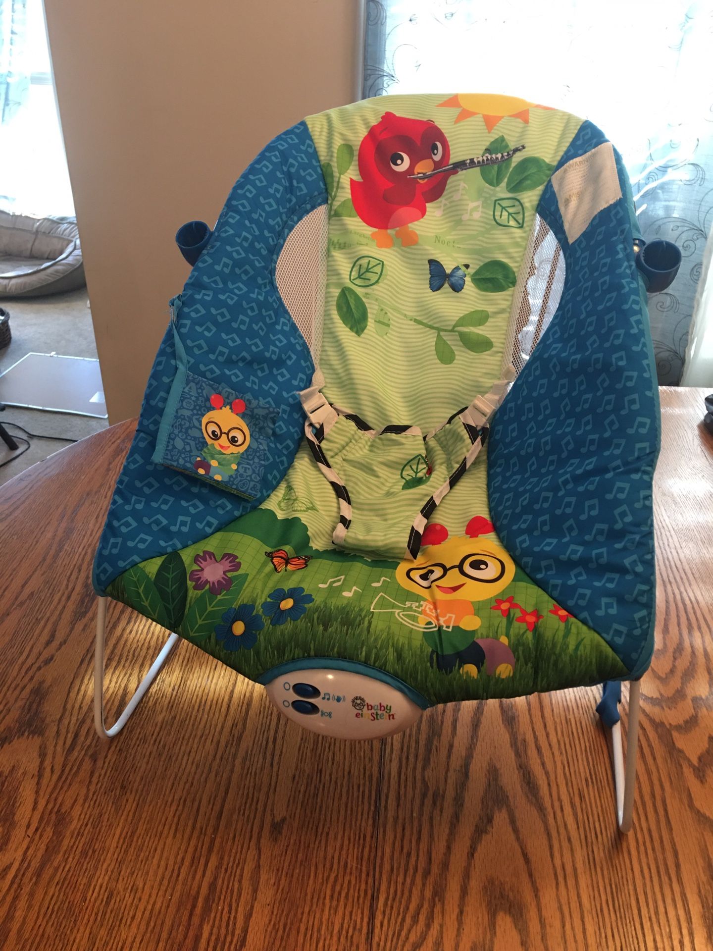 Baby Einstein Bouncer/Infant Seat