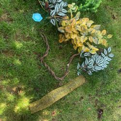 Assorted Reptile Deco