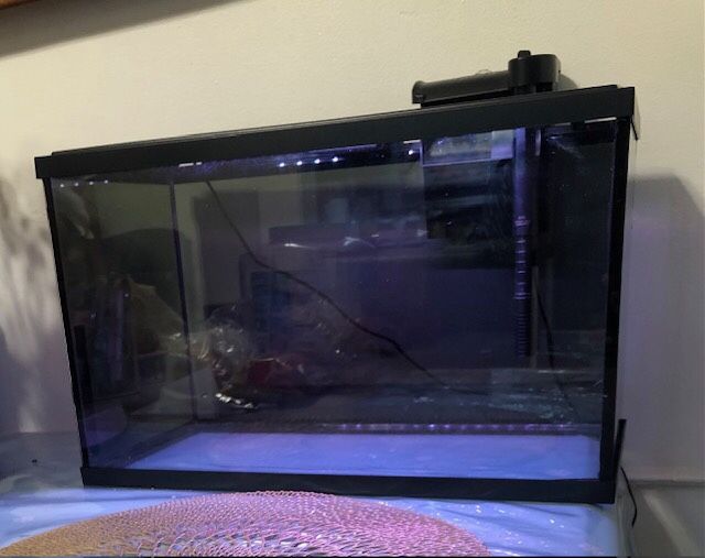 10 Gallon Fish Tank Aquarium 