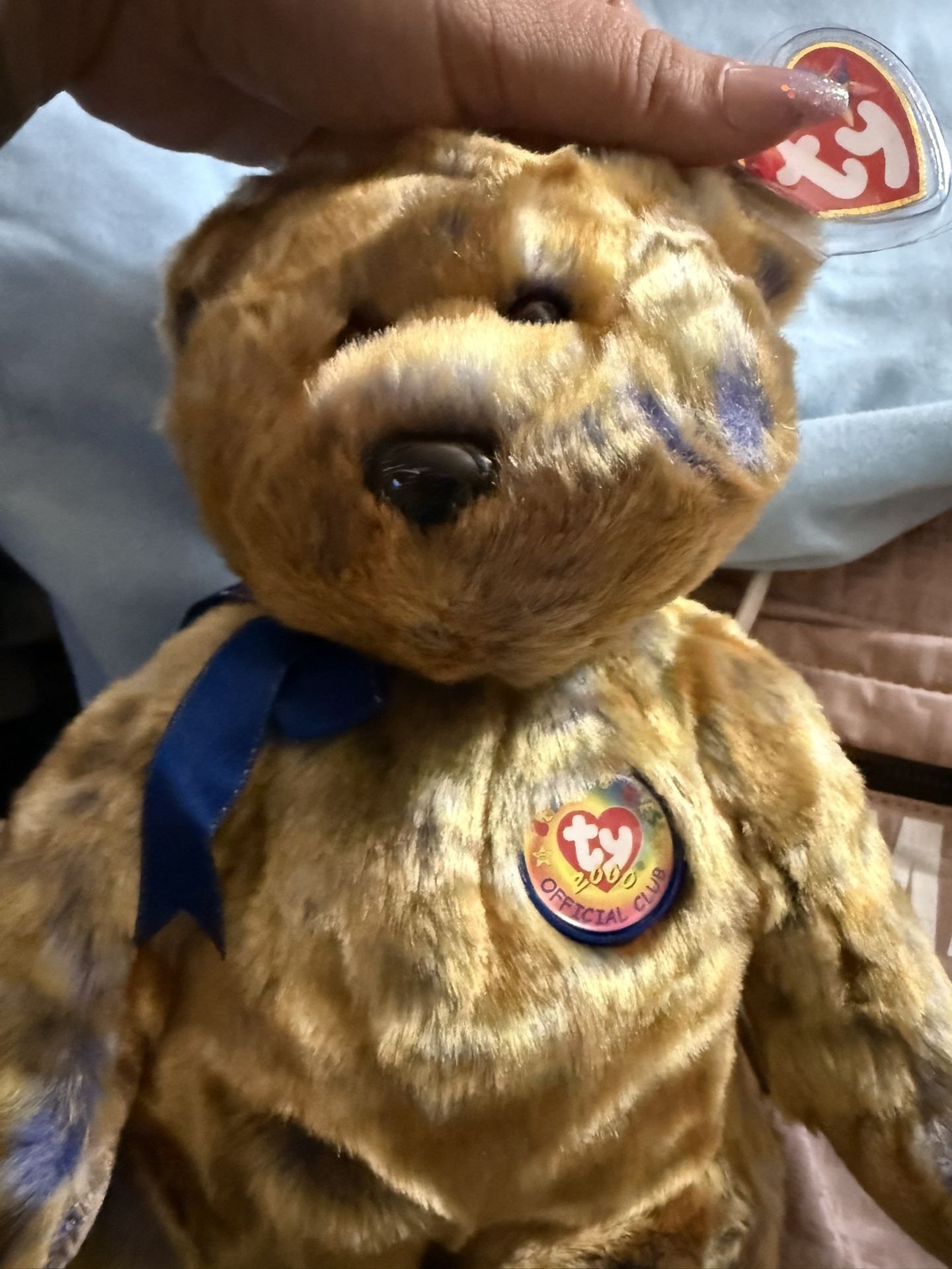 Ty Bear