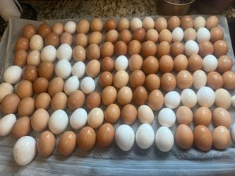 Farm fresh