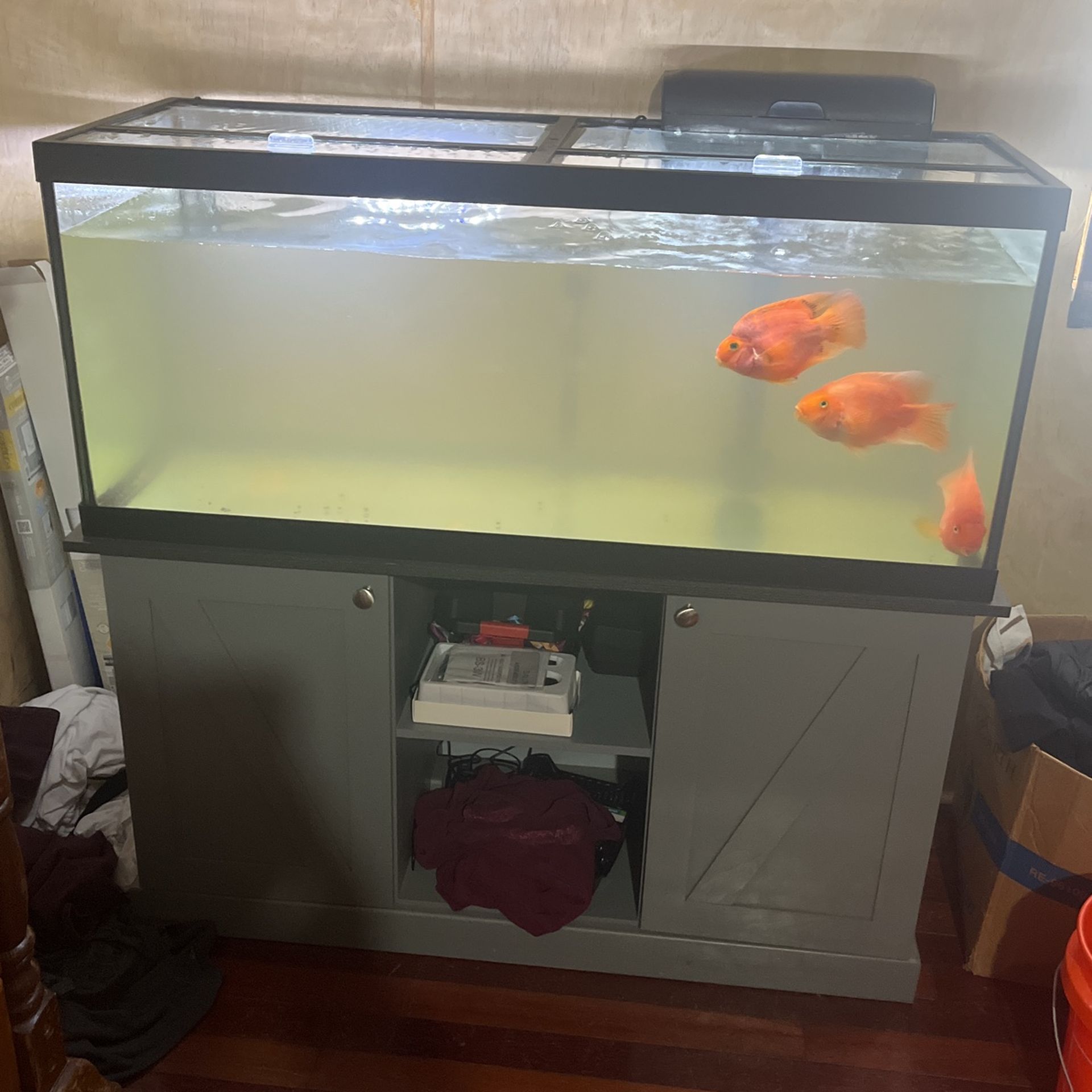 Fish Tank
