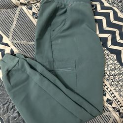 Figs S/Petite Hydro green Pants