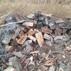 Firewood