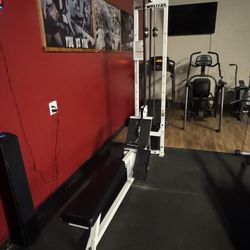 Body Masters Seated Cable Row