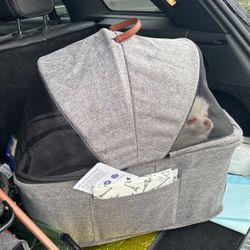 Dog Carry On 