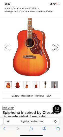 Beautiful Hummingbird Acoustic Guitar