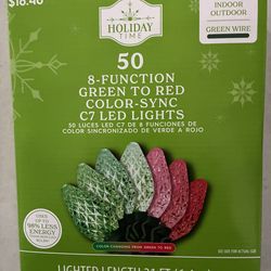 Led indoor/outdoor Lights (8) Function