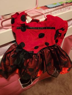Baby Ladybug Halloween Outfit 6-9 Months