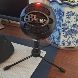 Plug and play microphone