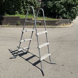 Pool Ladder 